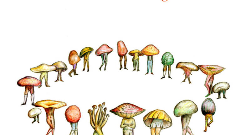 Il mondo magico dei funghi, il nuovo libro di Daniela Braccini
