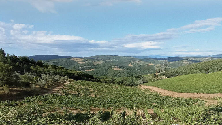 I Macchiaioli del Chianti sulla Romea Senese